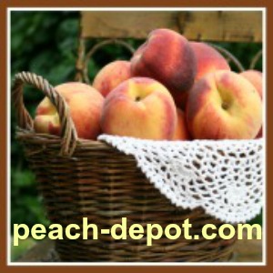 Peach Conversion Measurements Charts How Many Peaches Do You Need